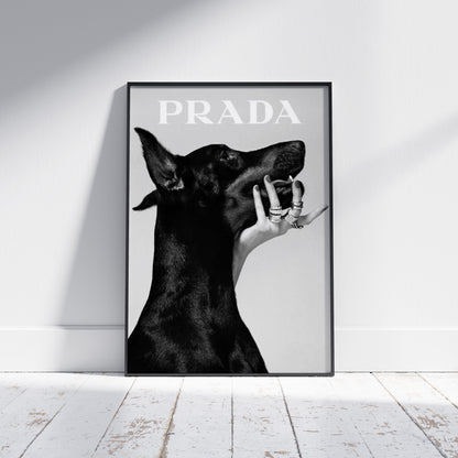 Prada Dog