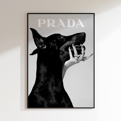 Prada Dog