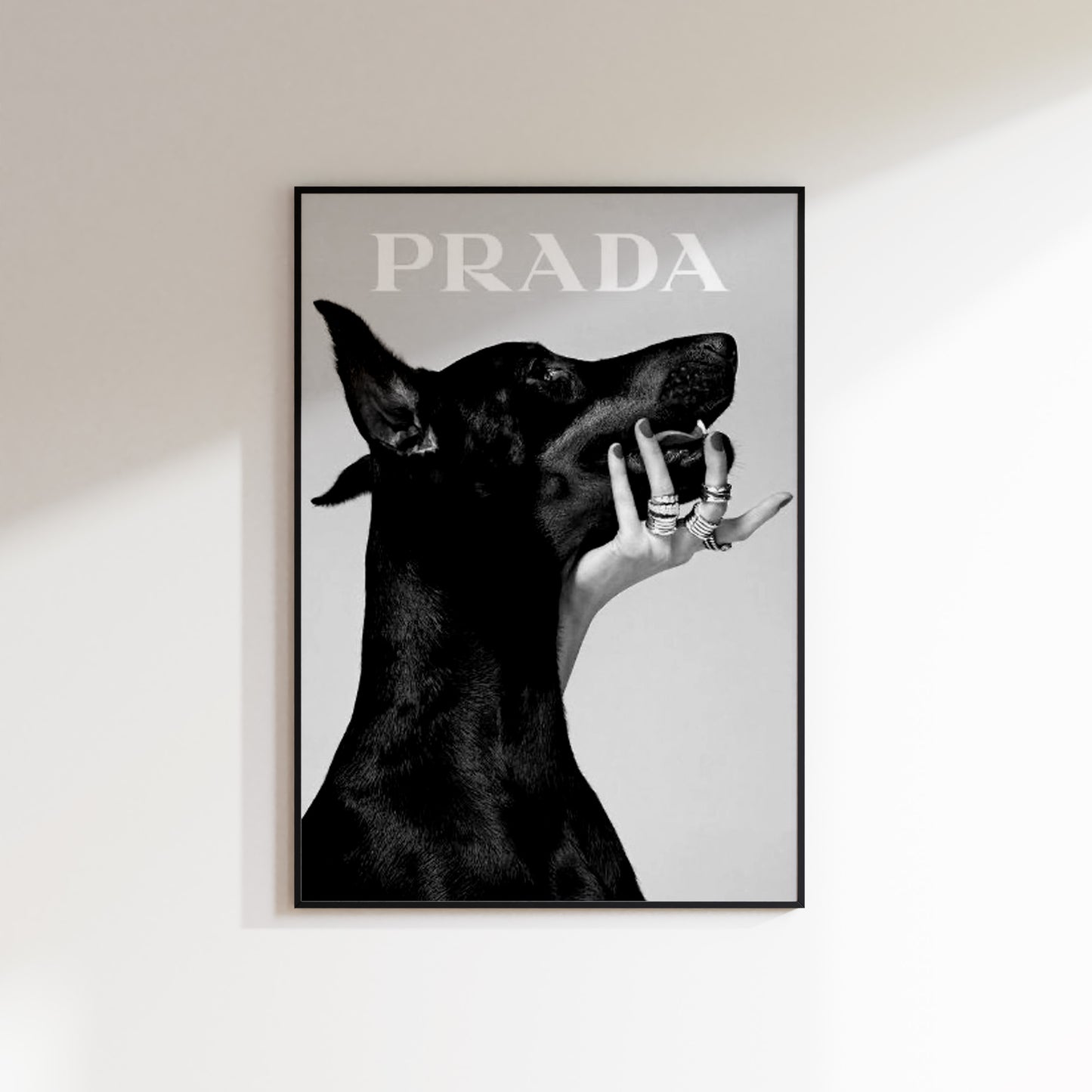 Prada Dog