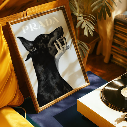 Prada Dog