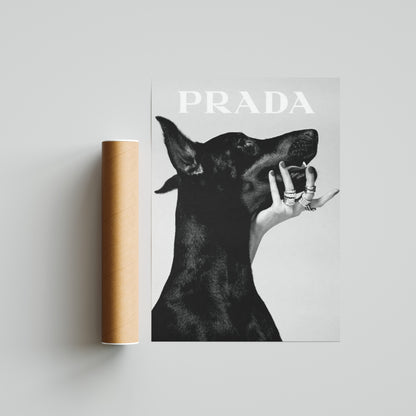 Prada Dog